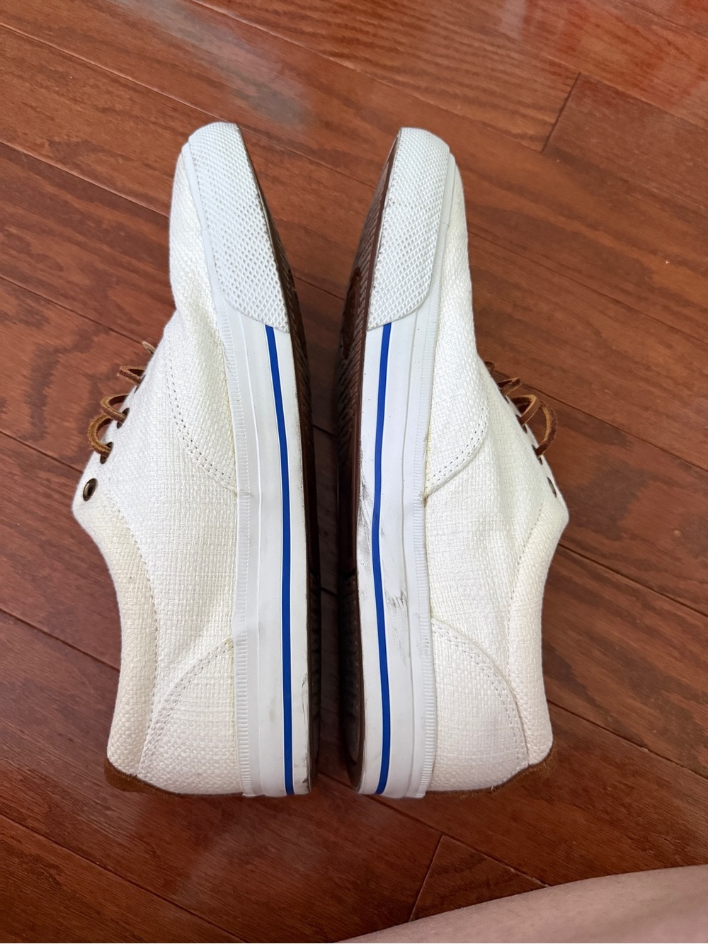 Polo by Ralph Lauren White Canvas Sneakers with Brown Trim and Blue Logo - Picture 5 of 6